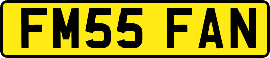 FM55FAN