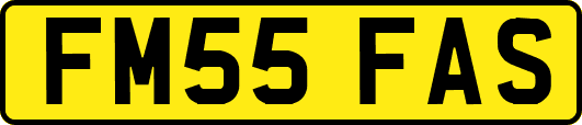 FM55FAS