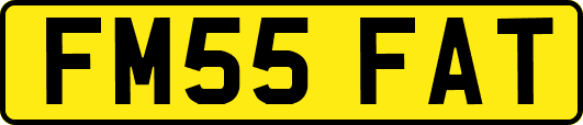 FM55FAT