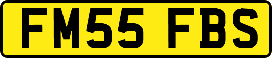 FM55FBS