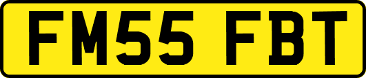 FM55FBT