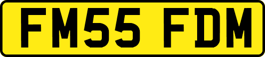 FM55FDM