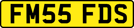 FM55FDS