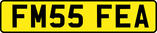 FM55FEA