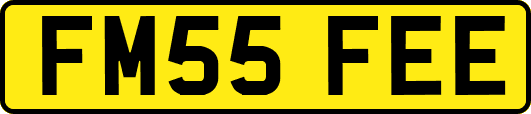 FM55FEE