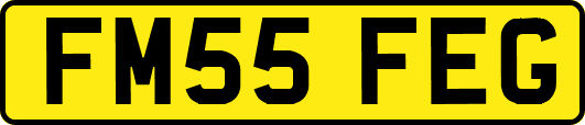 FM55FEG