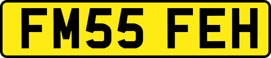FM55FEH