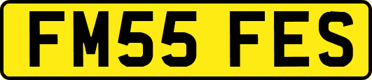 FM55FES