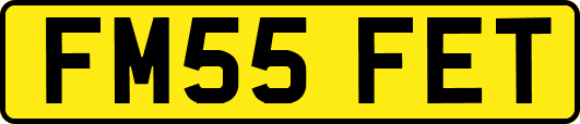 FM55FET