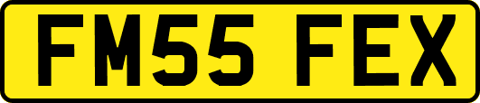 FM55FEX