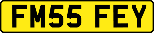 FM55FEY