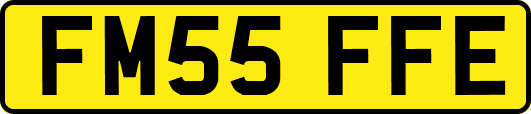 FM55FFE