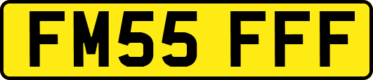 FM55FFF