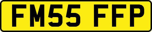 FM55FFP