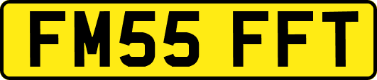 FM55FFT