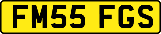 FM55FGS