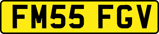FM55FGV