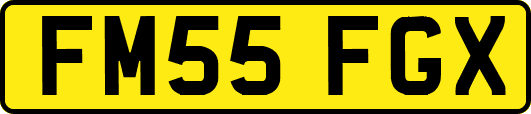 FM55FGX