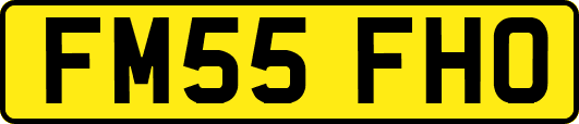 FM55FHO