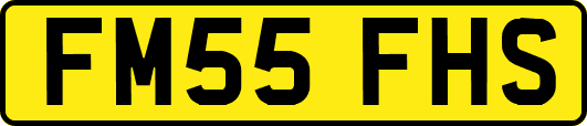 FM55FHS