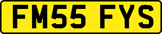 FM55FYS