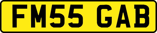 FM55GAB