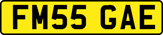 FM55GAE