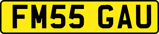 FM55GAU