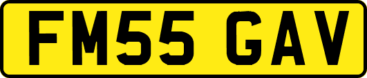FM55GAV