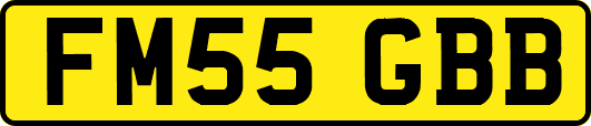 FM55GBB