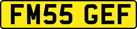 FM55GEF