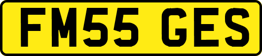 FM55GES