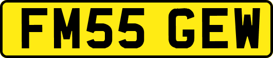 FM55GEW
