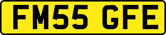 FM55GFE