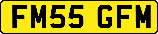 FM55GFM