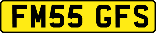 FM55GFS