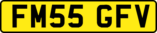 FM55GFV