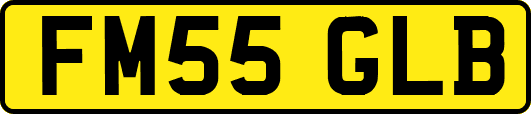 FM55GLB