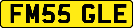 FM55GLE
