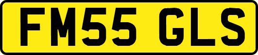 FM55GLS