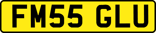 FM55GLU