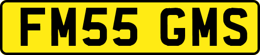FM55GMS