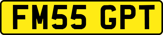 FM55GPT