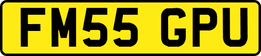 FM55GPU