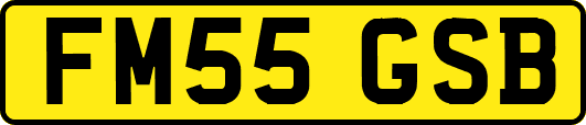 FM55GSB