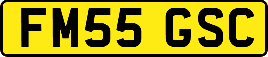 FM55GSC