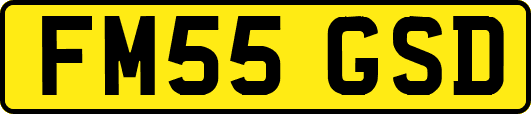 FM55GSD