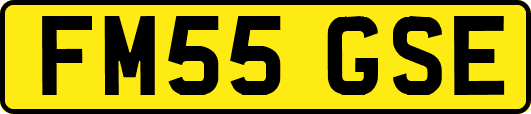 FM55GSE
