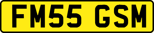 FM55GSM