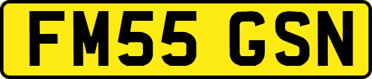 FM55GSN